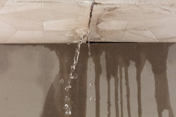 Professional Structural Drying technician working in Bass Lake, IN